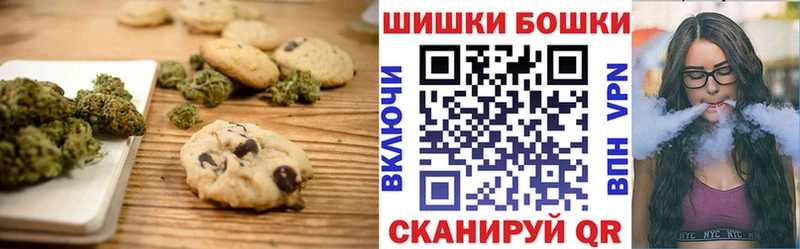 Купить закладки  Каспийск  Canna-Cookies конопля 