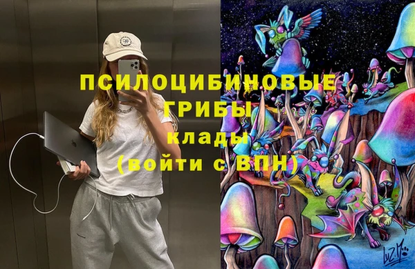 Альфа ПВП Алзамай